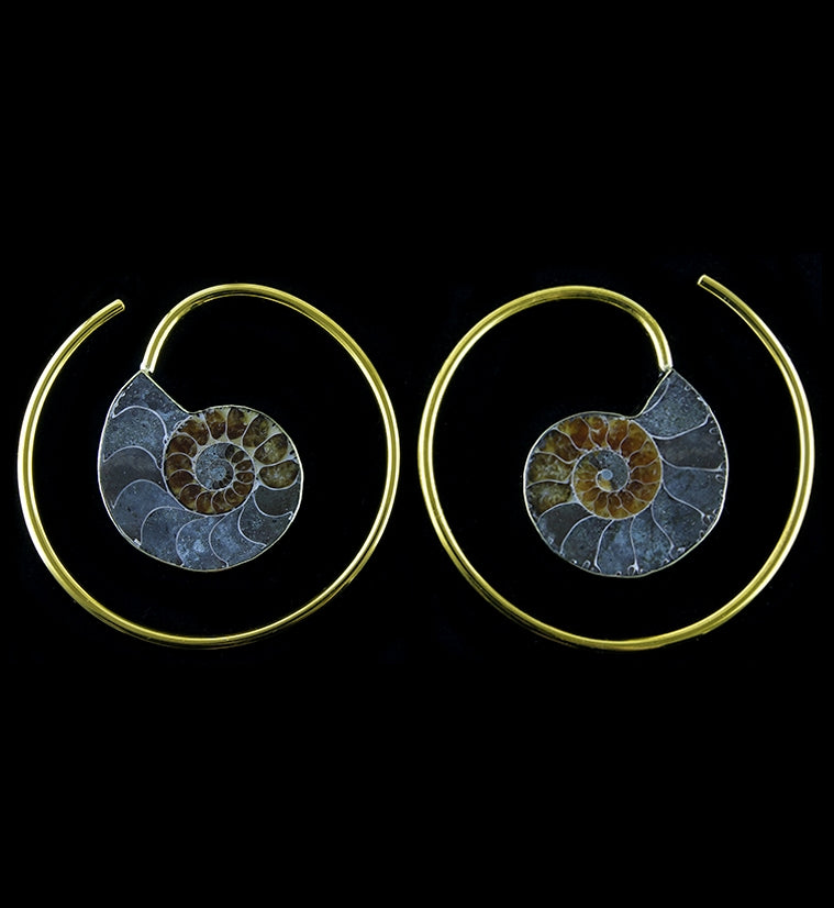 Ammonite Fossil Brass Ear Weights