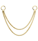 14kt Gold Double Box Nose & Cartilage Piercing Chain