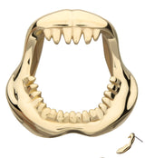 14kt Gold Shark Jaw Threadless Top