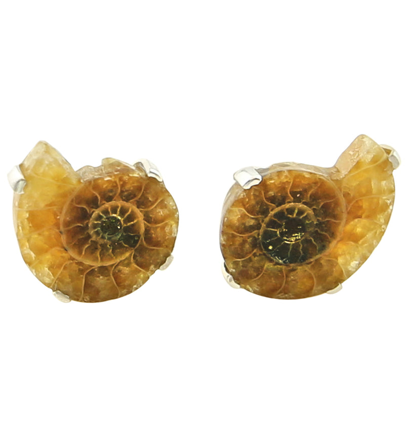 Ammonite Prong Set Sterling Silver Earrings