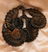 Ammonite Wooden Hangers