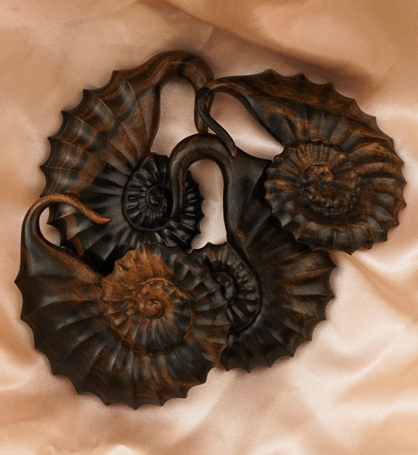 Ammonite Wooden Hangers