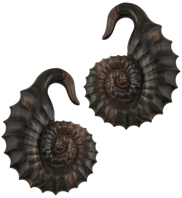 Ammonite Wooden Hangers