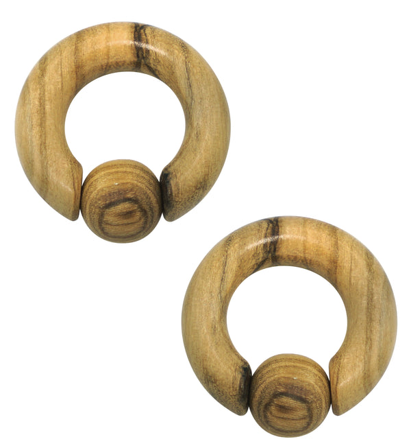 Captive Olive Wood Hoop Hangers