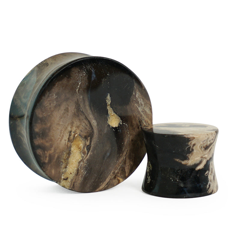 Black Flame Petrified Palm Root Plugs