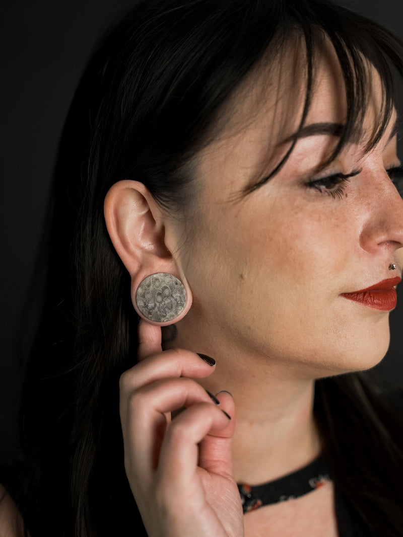 Blue Fossilized Coral Stone Plugs