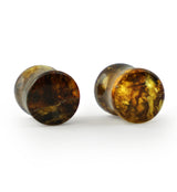 Chiapas Amber Plugs 00G (10mm) - Version 10