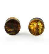 Chiapas Amber Plugs 00G (10mm) - Version 10