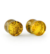 Chiapas Amber Plugs 00G (10mm) - Version 11