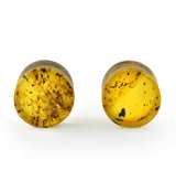 Chiapas Amber Plugs 00G (10mm) - Version 11