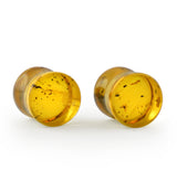 Chiapas Amber Plugs 00G (10mm) - Version 12