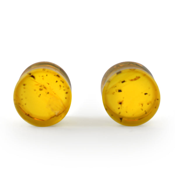 Chiapas Amber Plugs 00G (10mm) - Version 12