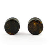 Chiapas Amber Plugs 00G (10mm) - Version 16