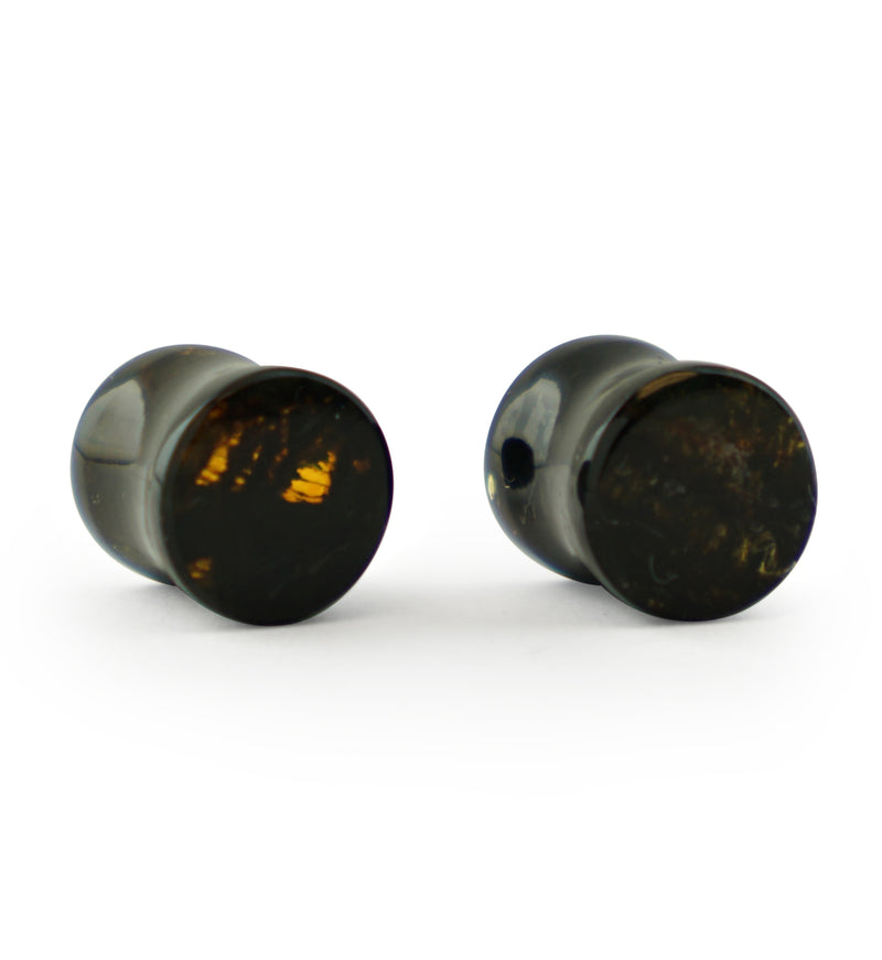 Chiapas Amber Plugs 00G (10mm) - Version 19