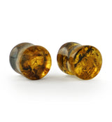 Chiapas Amber Plugs 00G (10mm) - Version 8