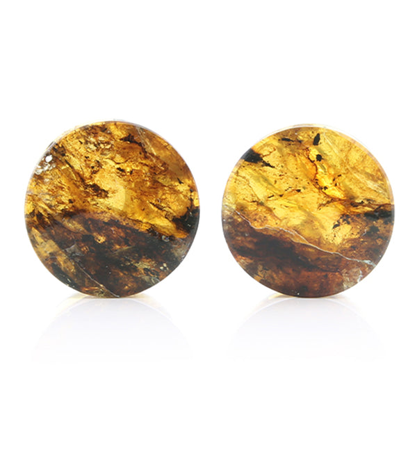 Chiapas Amber Plugs 3/4" (19mm) Version 1