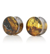 Chiapas Amber Plugs 3/4" (19mm) Version 3