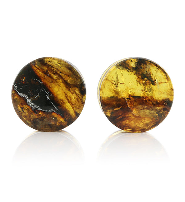 Chiapas Amber Plugs 3/4" (19mm) Version 3