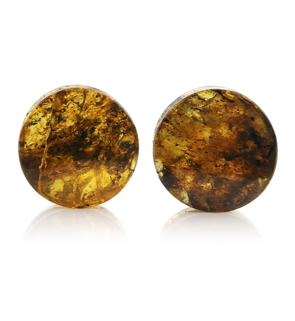 Chiapas Amber Plugs 3/4" (19mm) Version 4