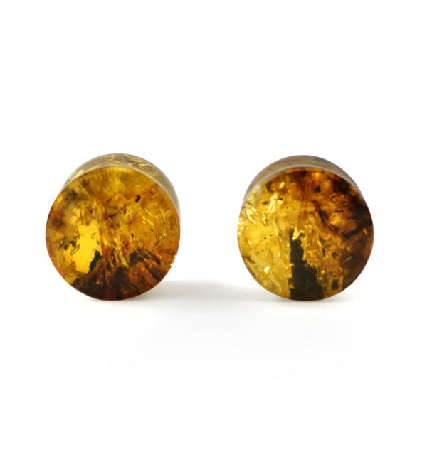 Chiapas Amber Plugs 1/2" (12mm) Version 10