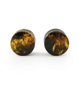 Chiapas Amber Plugs 1/2" (11.5mm) Version 17