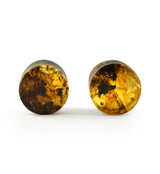 Chiapas Amber Plugs 1/2" (12mm) Version 11