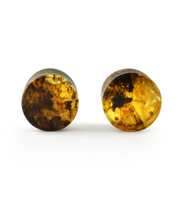 Chiapas Amber Plugs 1/2" (12mm) Version 11