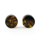 Chiapas Amber Plugs 1/2" (12mm) Version 16