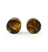 Chiapas Amber Plugs 1/2" (12mm) Version 18