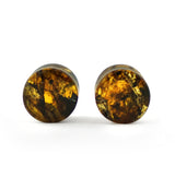 Chiapas Amber Plugs 1/2" (12mm) Version 21