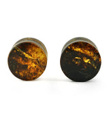 Chiapas Amber Plugs 1/2" (12mm) Version 22