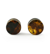 Chiapas Amber Plugs 1/2" (12mm) Version 2