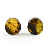 Chiapas Amber Plugs 1/2" (12mm) Version 5