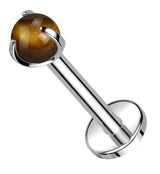 Claw Tiger Eye Stone Internally Threaded Titanium Labret