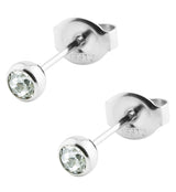 Clear Bezel CZ Stainless Steel Stud Earrings