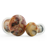 Crazy Lace Agate Stone Plugs - Single Flare