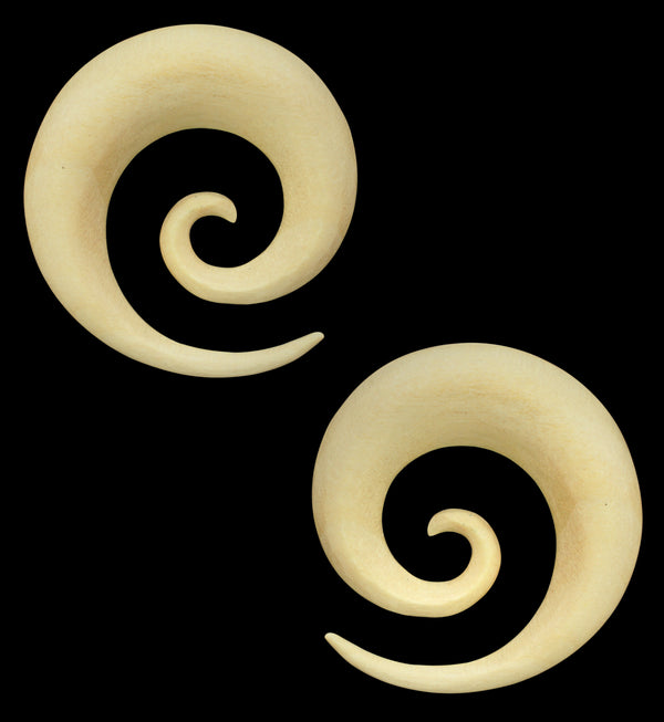 Crocodile Wood Spirals