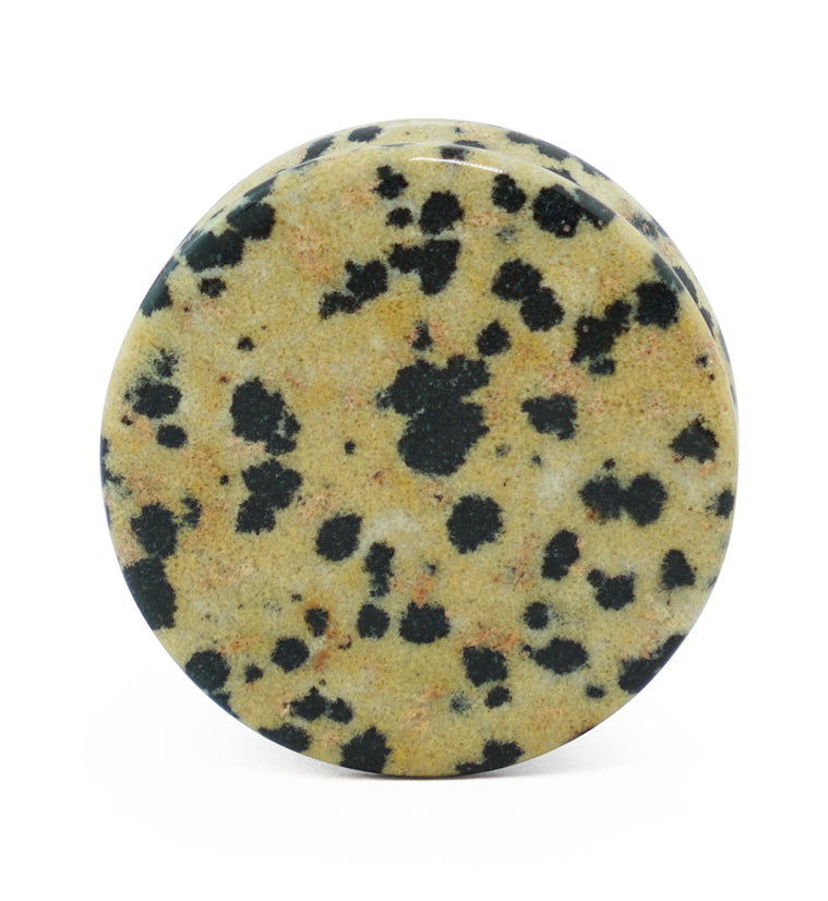 Dalmatian Jasper Stone Plugs