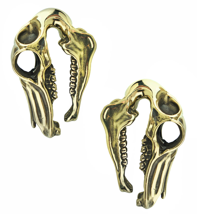 Equestrian Skull Brass Ear Weights