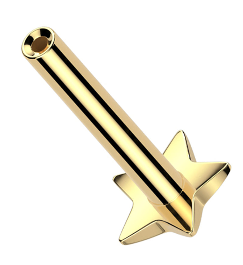 Gold PVD Convex Star Titanium Threadless Labret Post