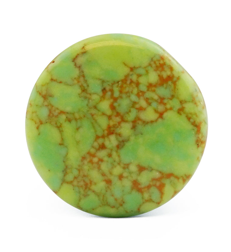 Green Howlite Stone Plugs - Single Flare