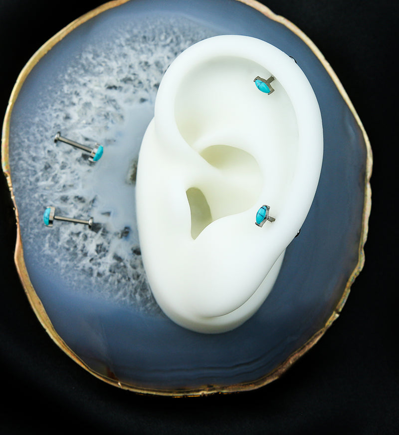 Howlite Turquoise Marquise Titanium Threadless Labret