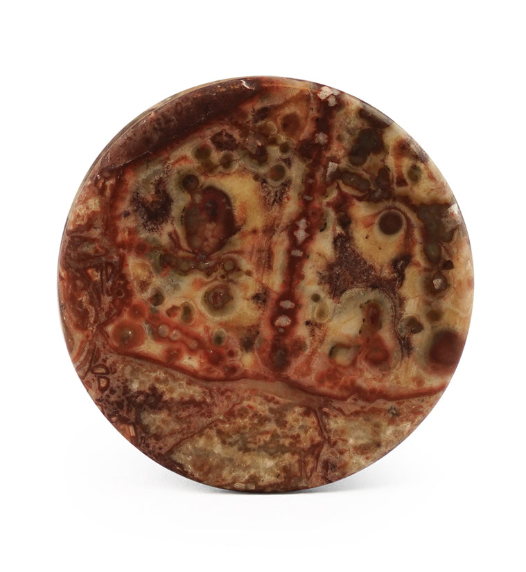 Leopard Jasper Stone Plugs