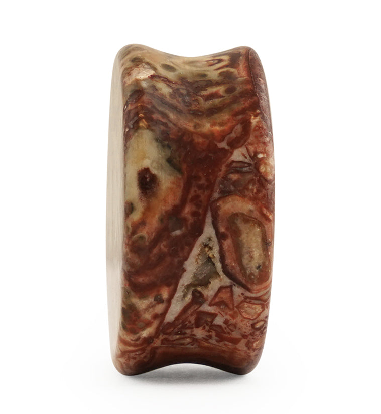 Leopard Jasper Stone Plugs