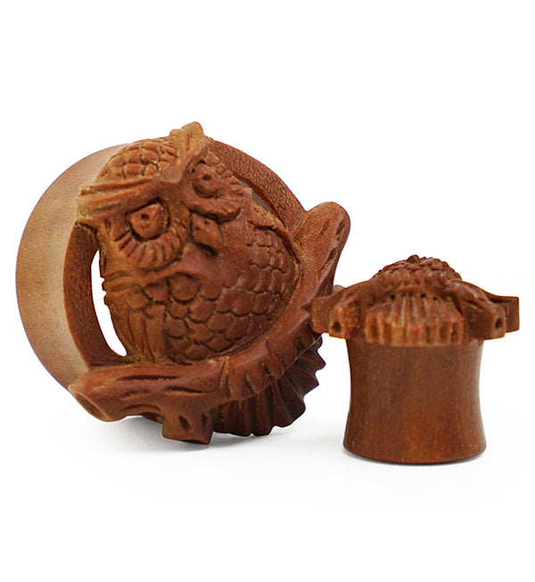 Owl Perch Carved Saba Wood Tunnels