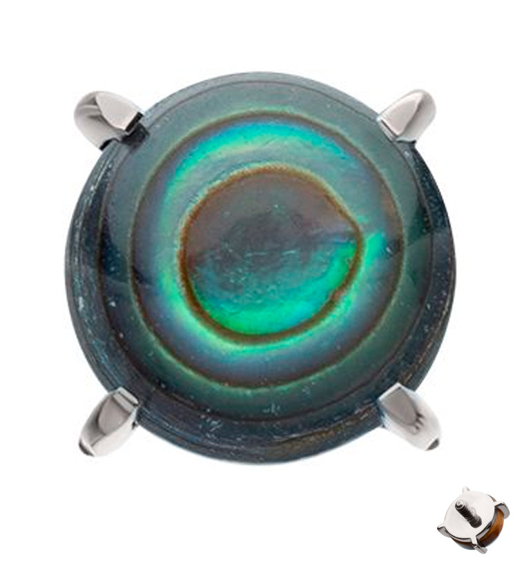 Prong Abalone Titanium Internally Threaded Top