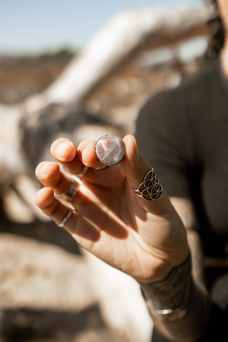 Purple Labradorite Stone Plugs