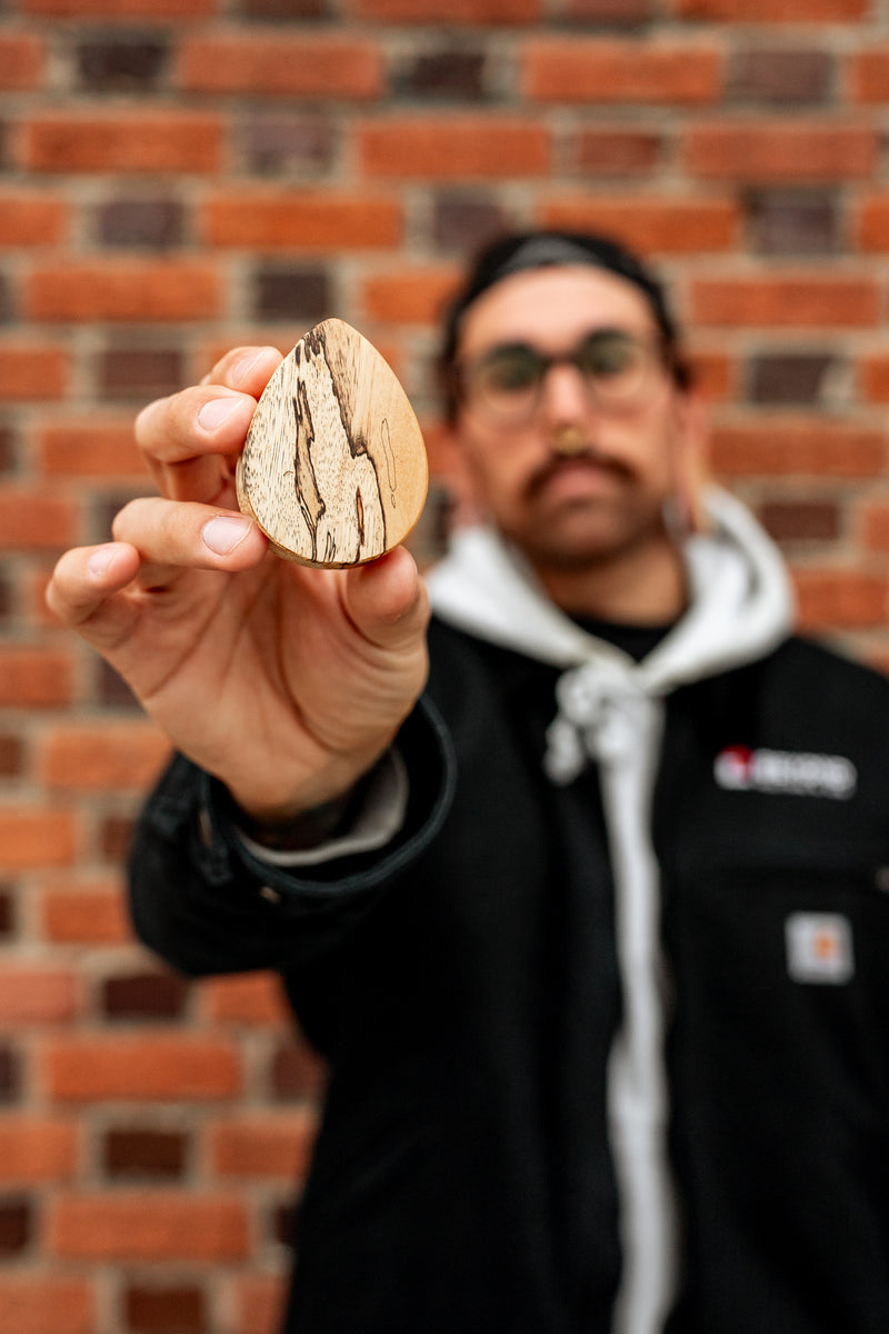 Tamarind Wood Teardrop Plugs