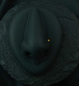 Titanium Nose Screw With Tiger Eye Stone