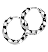 Twisted Hoop Stainless Steel Hinged Earrings